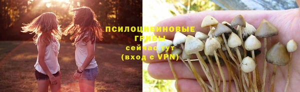 прущий лед Усинск