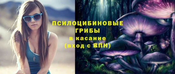 прущий лед Усинск