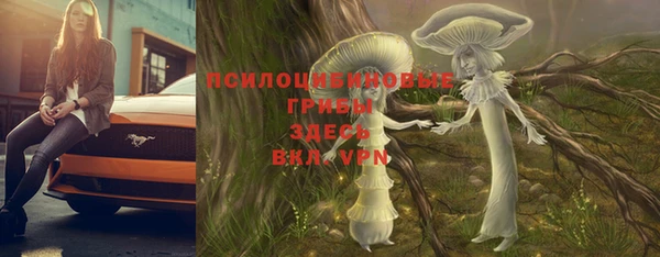 прущий лед Усинск